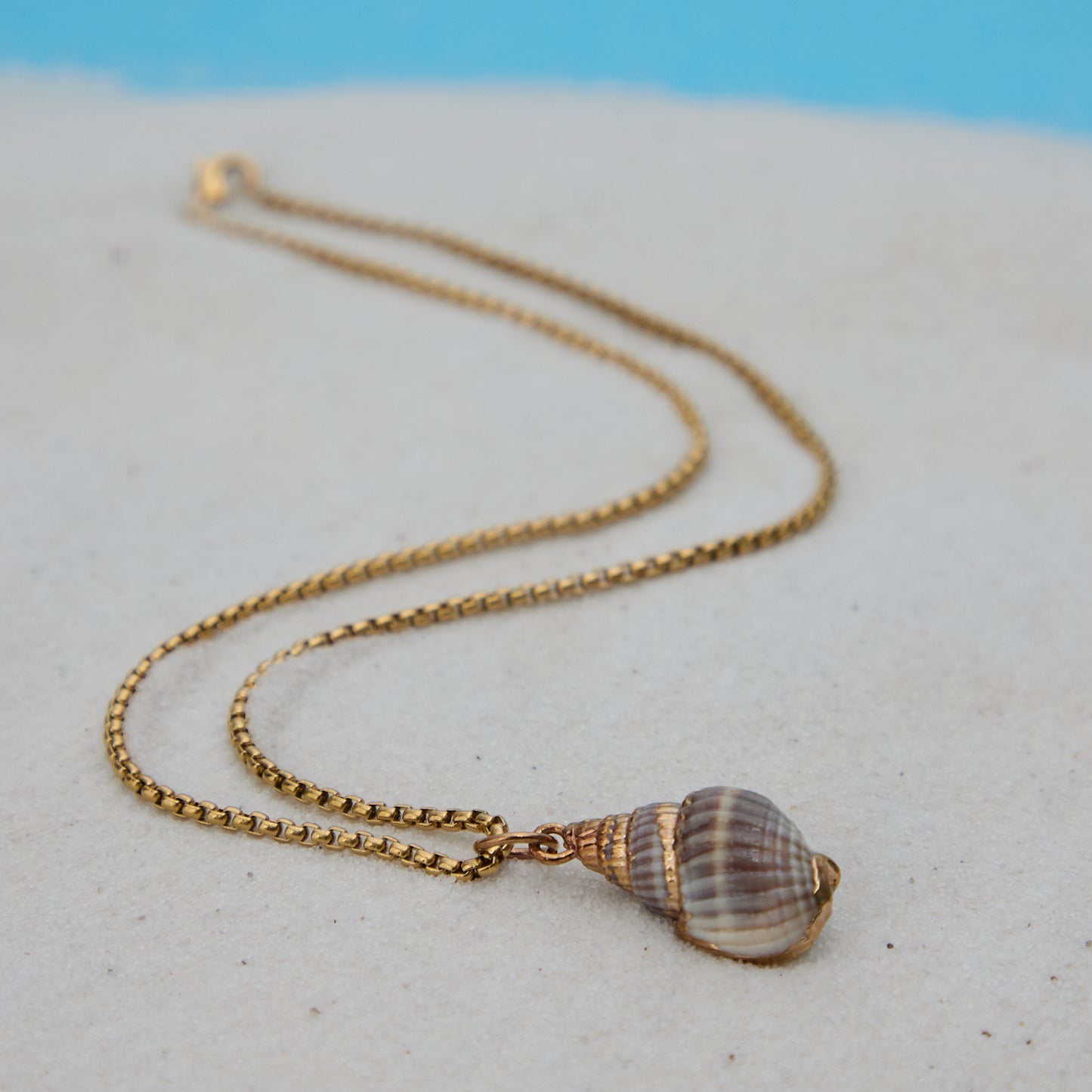 Necklace with a shell pendant on a sandy surface with a blue background