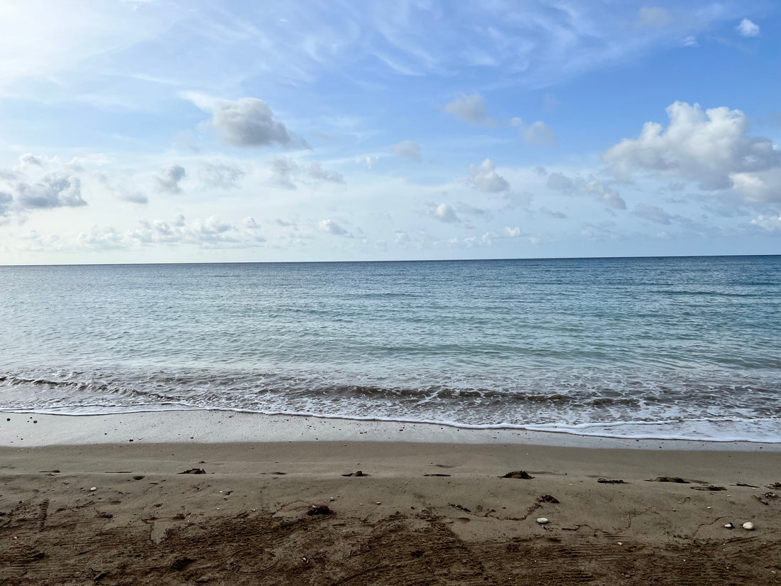 Seaside Fantasy