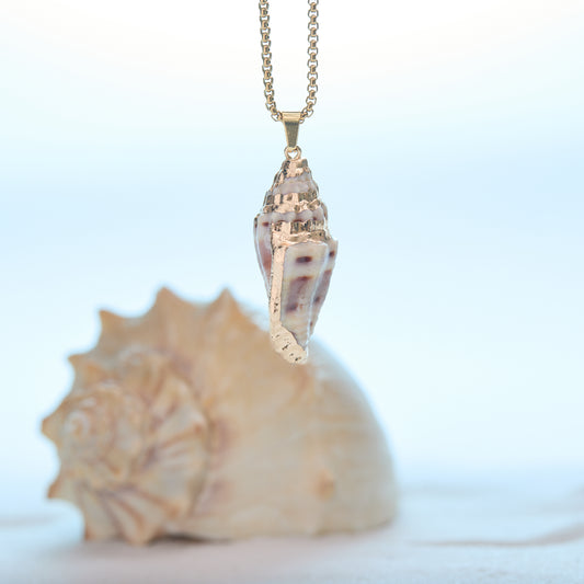 Shell pendant necklace with a shell on a light blue background