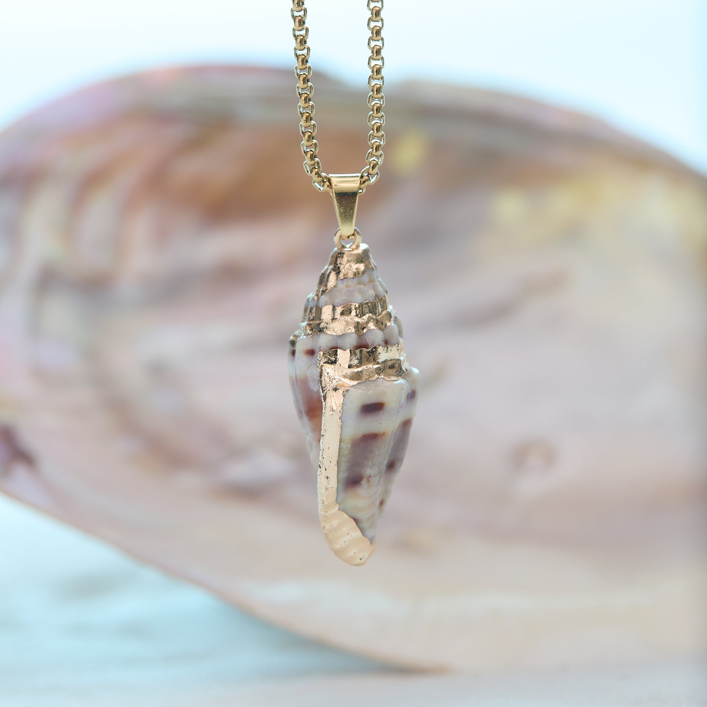 Shell pendant necklace on a blurred shell background