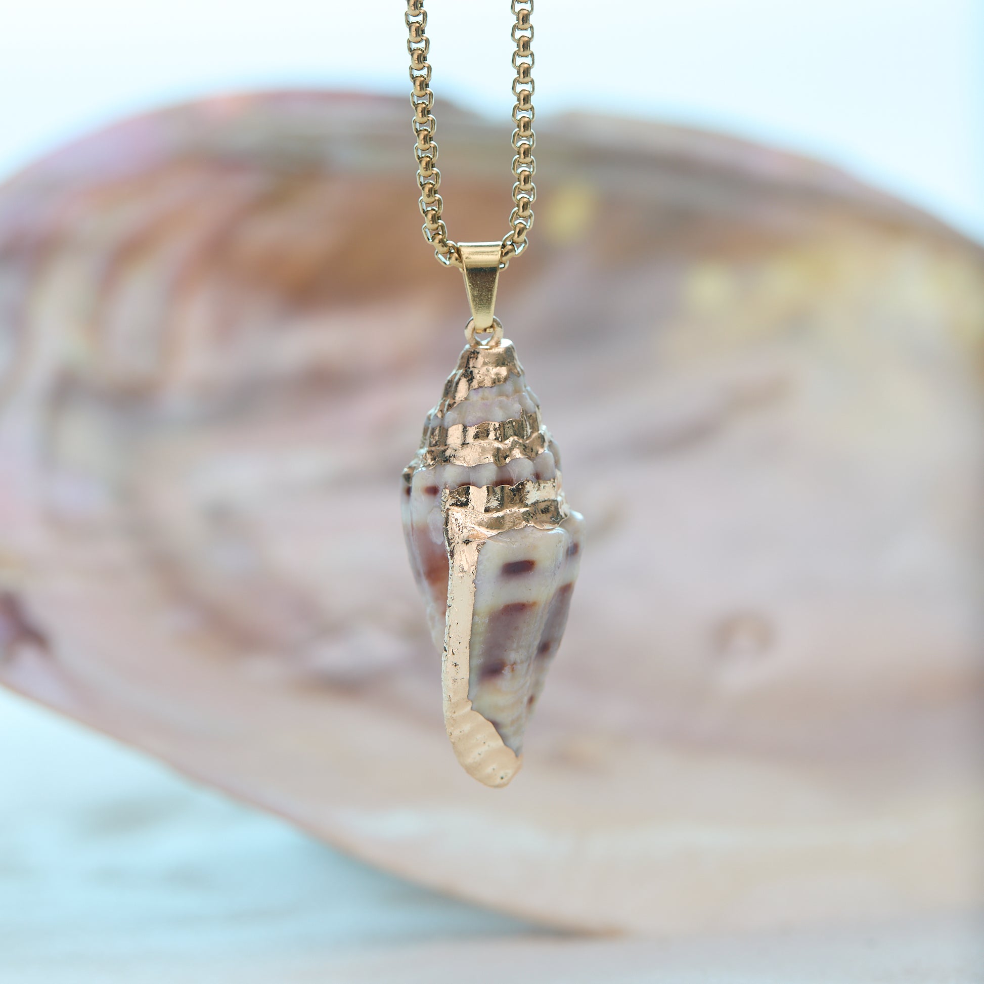 Shell pendant necklace on a blurred shell background