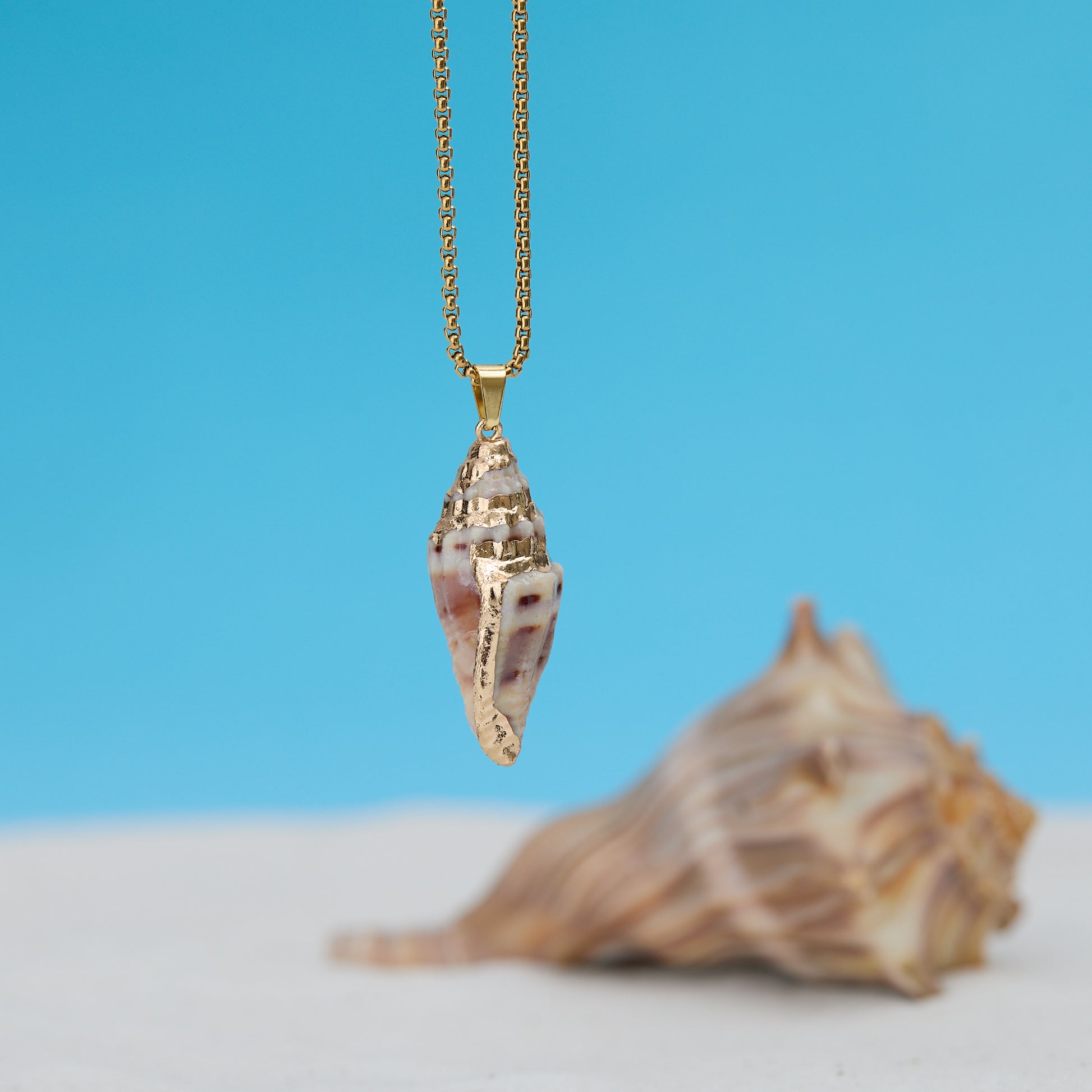 Seashell pendant on a gold chain with a blue background