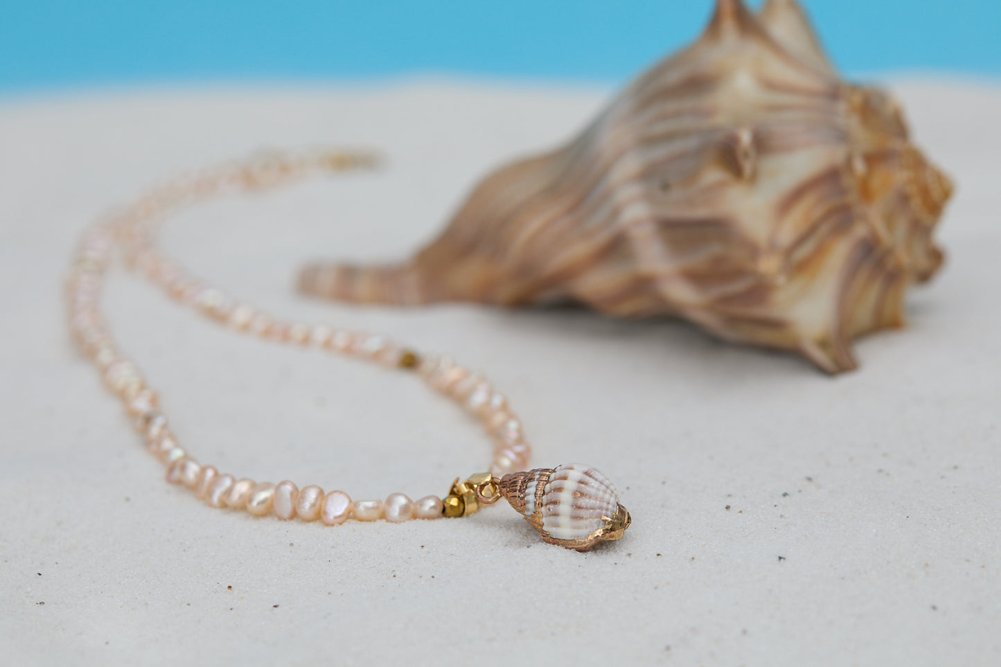 Pearl necklace with a shell pendant on a sandy surface with a shell in the background