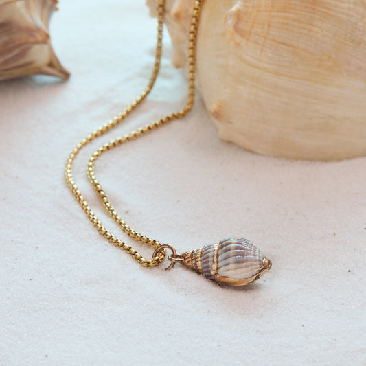 Gold necklace with a shell pendant on a sandy surface