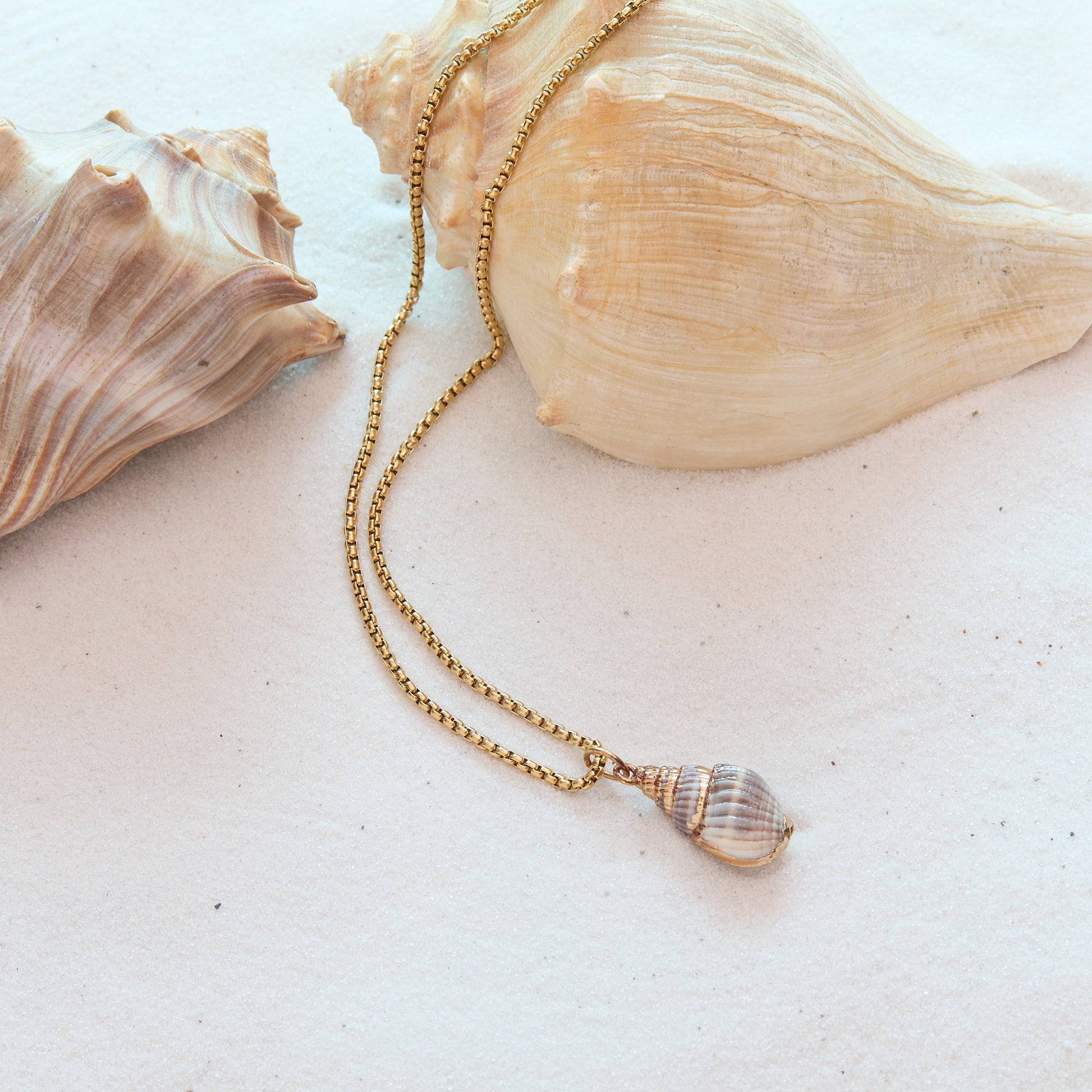 Gold necklace with a shell pendant on a sandy surface with seashells.