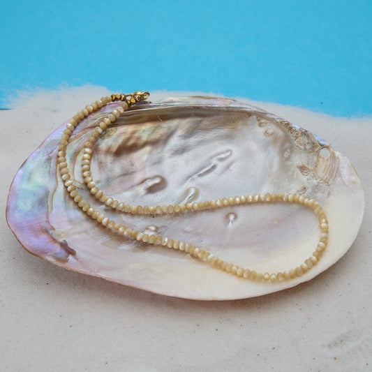 Pearl necklace on a large shell with a blue background