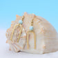 Gold earrings with turquoise beads on a seashell against a blue background